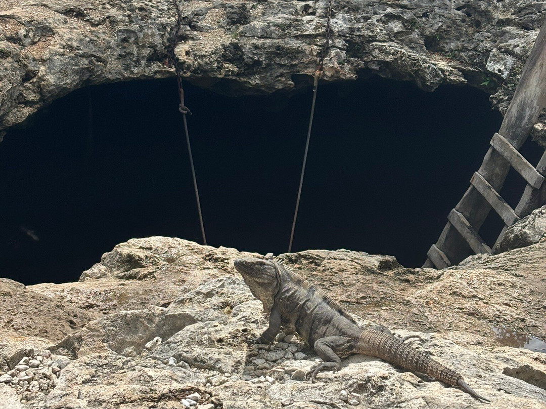 Cenote Calavera-图伦必去景点
