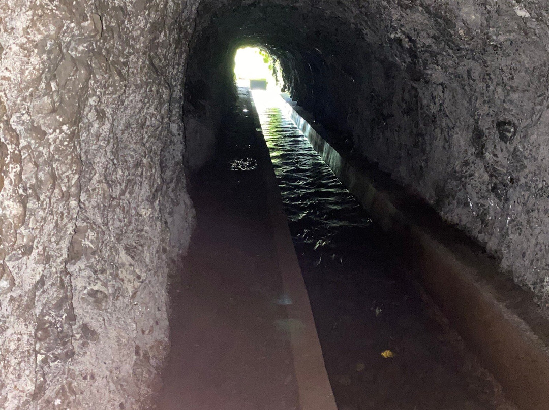 Levada Ribeira de Janela-莫尼什港必去景点