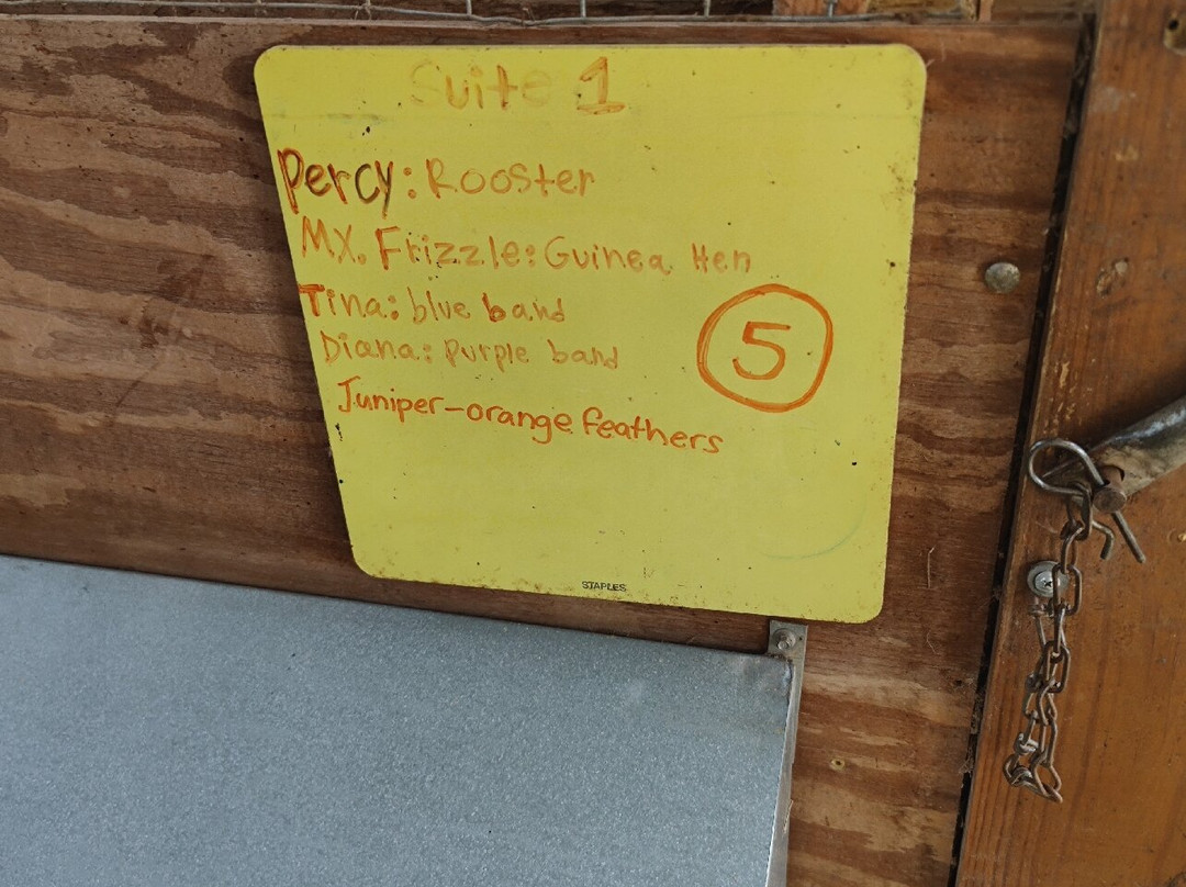 Piedmont Farm Animal Refuge-Pittsboro必去景点