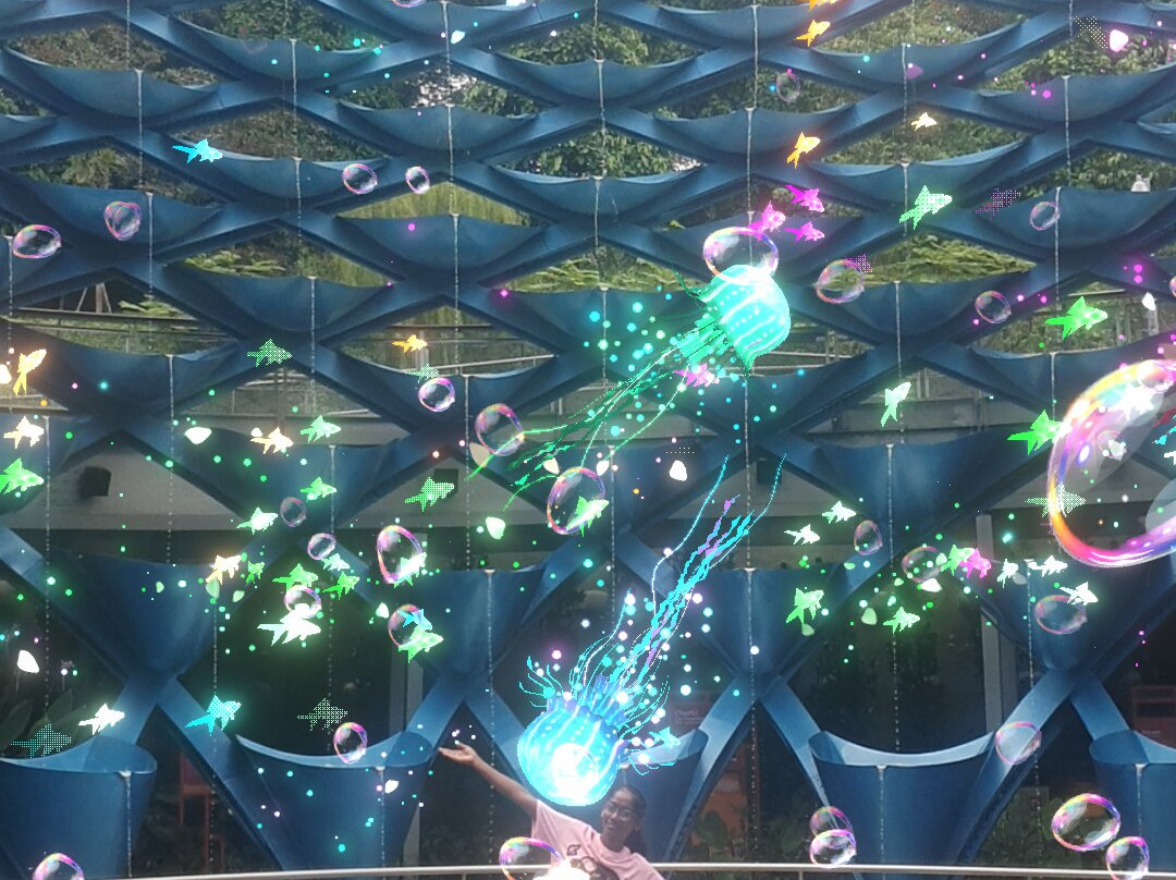 Sentosa Sensoryscape景点图片