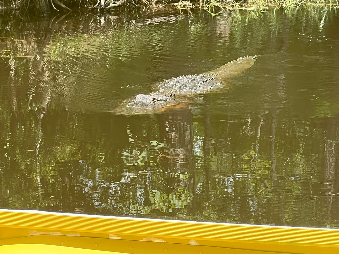 Gulf Coast Gator Ranch & Airboat Swamp Tours景点图片