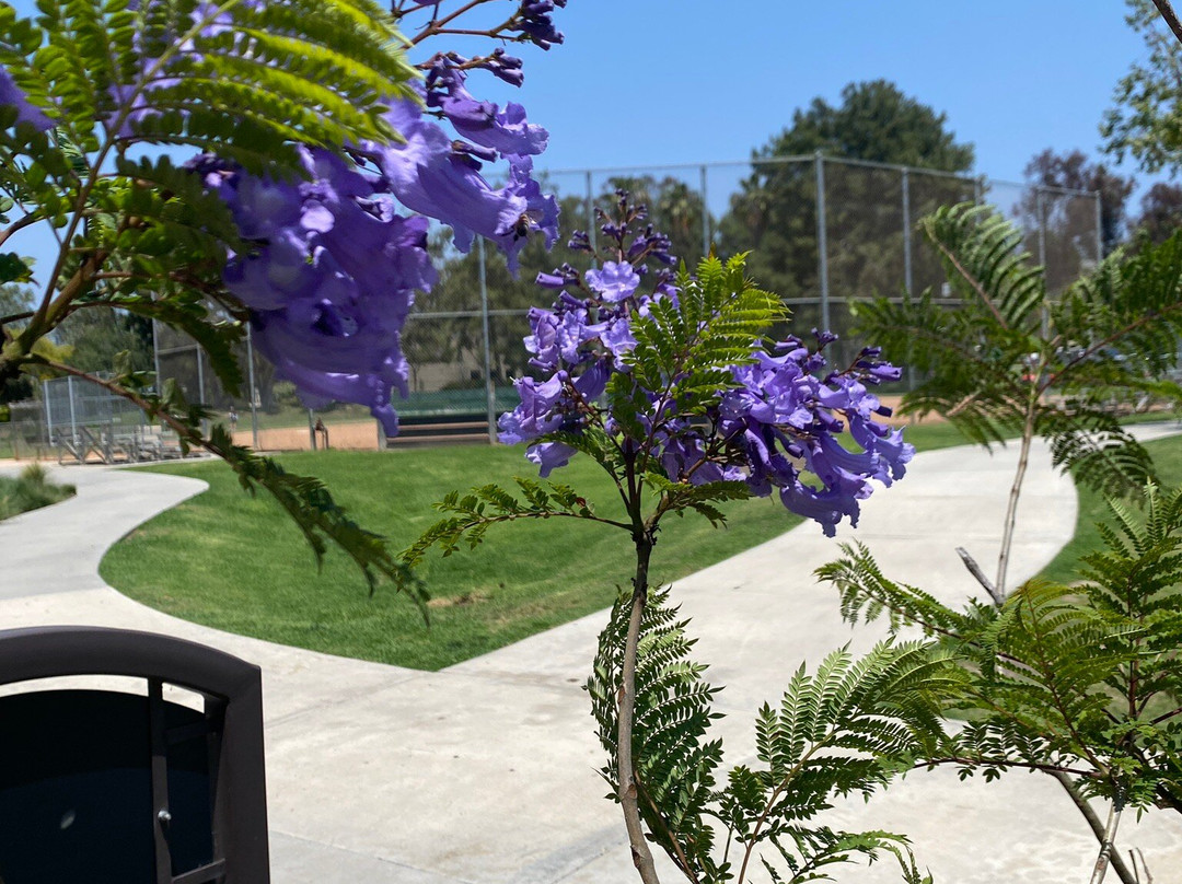Oso Creek Trail-米逊维耶荷必去景点