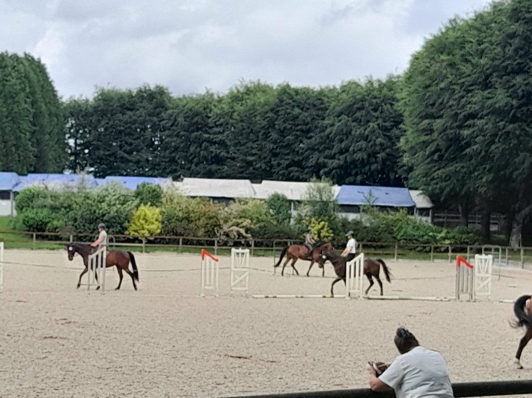 Haras National de Pompadour景点图片