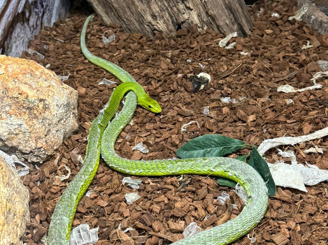 Wild Animal Adventure-斯坦顿必去景点