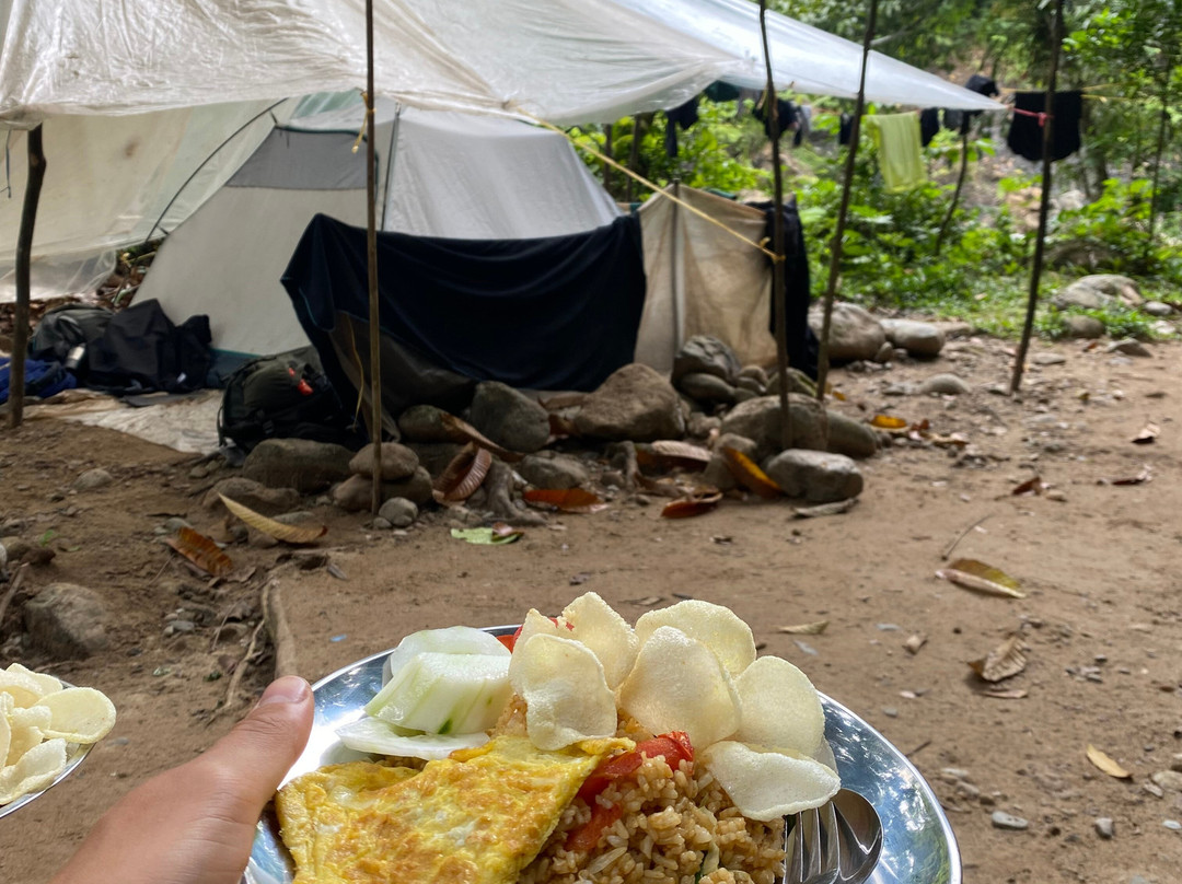 Sumatra Ketambe Jungle Tours-Ketambe必去景点