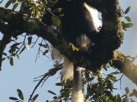 Cisticola Tours-内罗毕必去景点