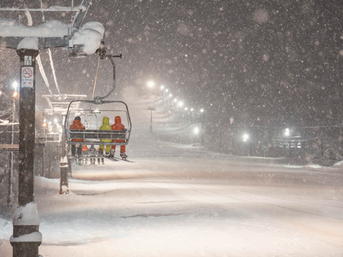 白马五龙滑雪场 / 高山植物园-白马村必去景点