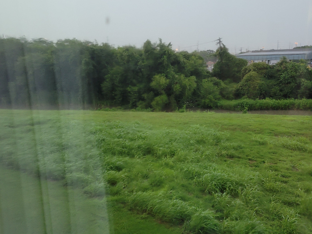 Best Western Texas City主图