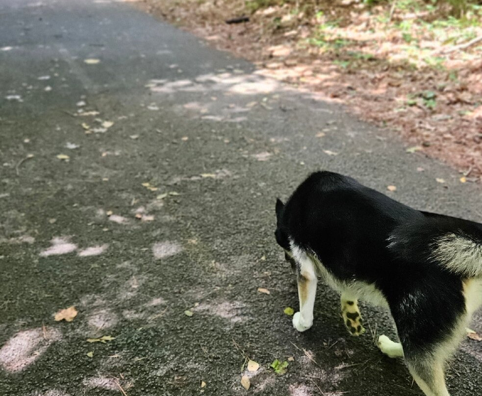 Chattahoochee River National Recreation Area-桑迪斯普林斯必去景点