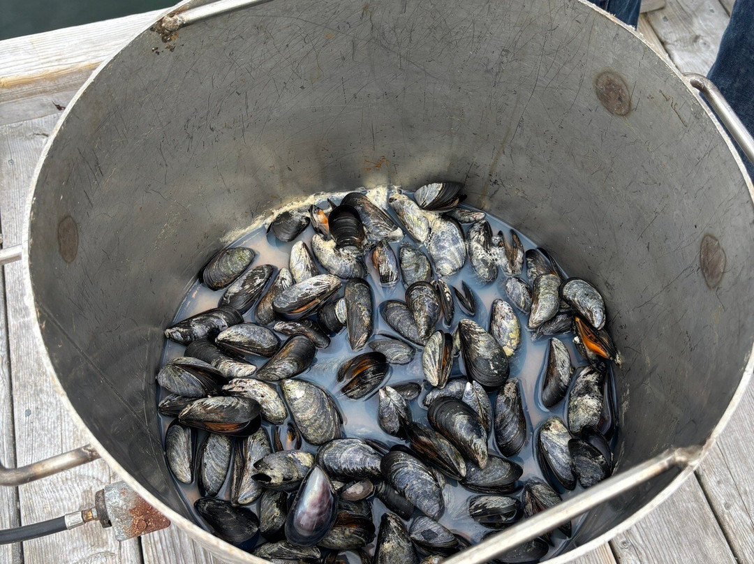 Adventures Newfoundland-Fortune Harbour必去景点