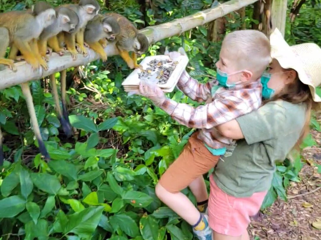 Monkey Jungle-迈阿密必去景点