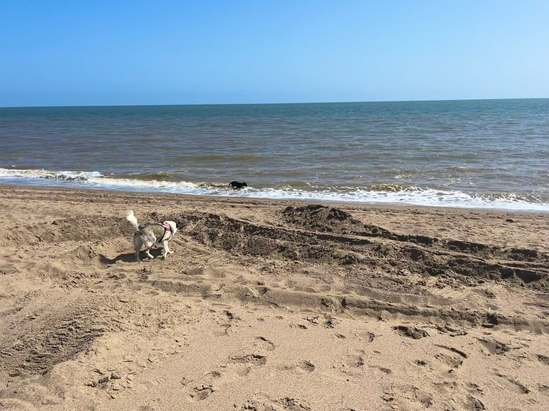 Moggs Eye Beach景点图片