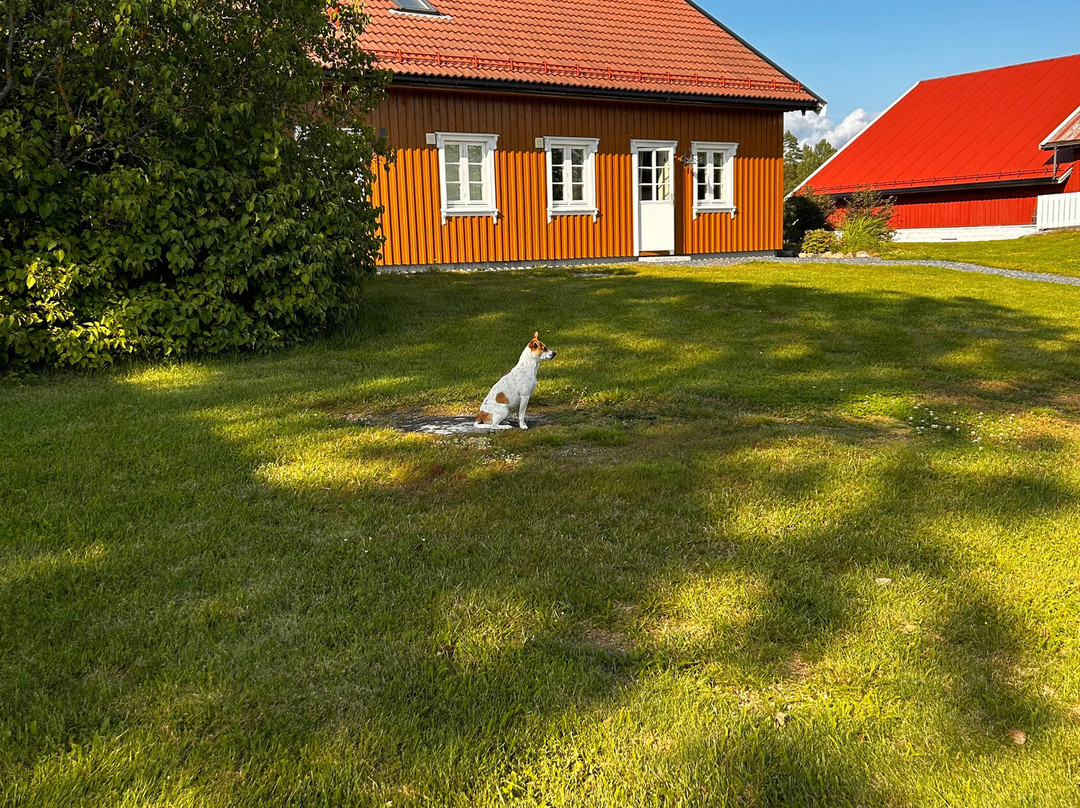 Alpakkagaarden – Østre Kjærnes