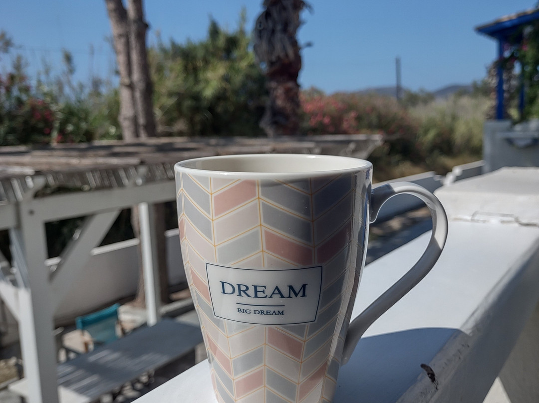 Anamnisi Studio主图