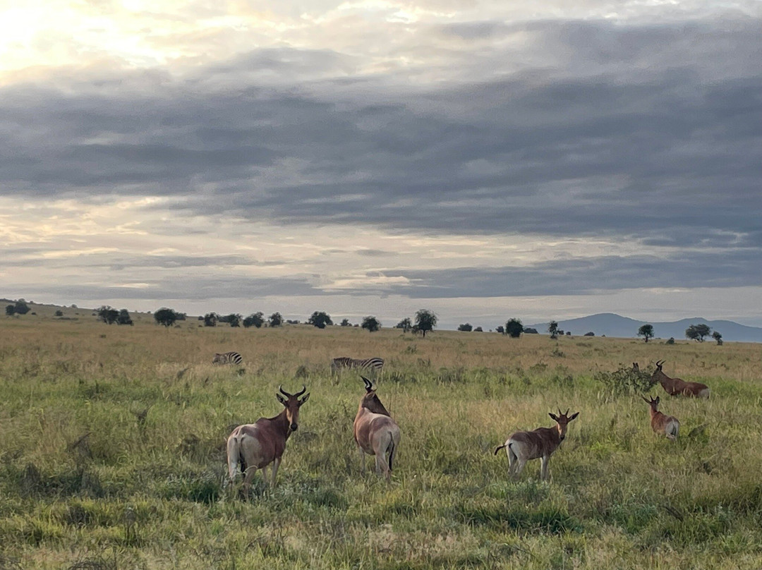 Robert Safaris Adventure Day Excusions-乌库达必去景点