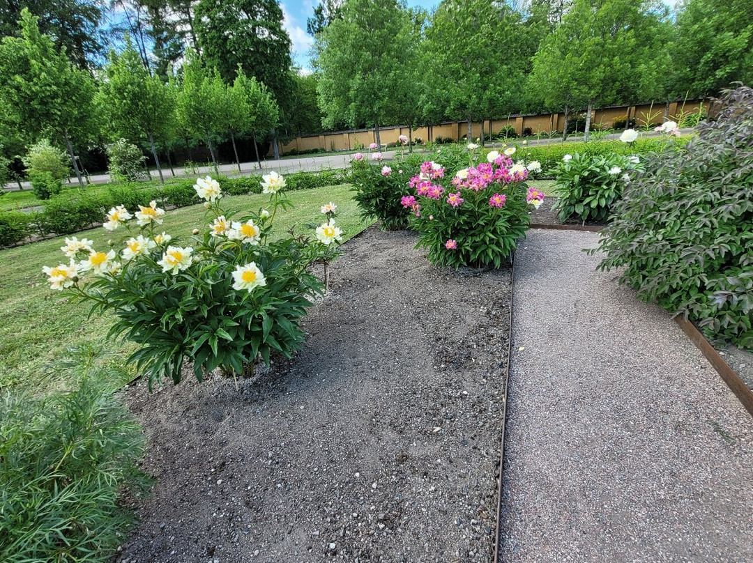 Botaniska Trädgården-乌普萨拉必去景点