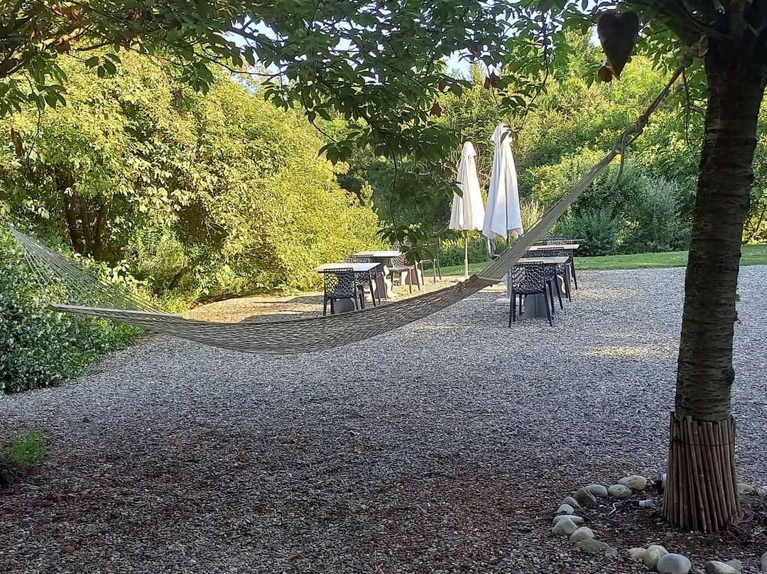 Il Sambuco Innamorato主图