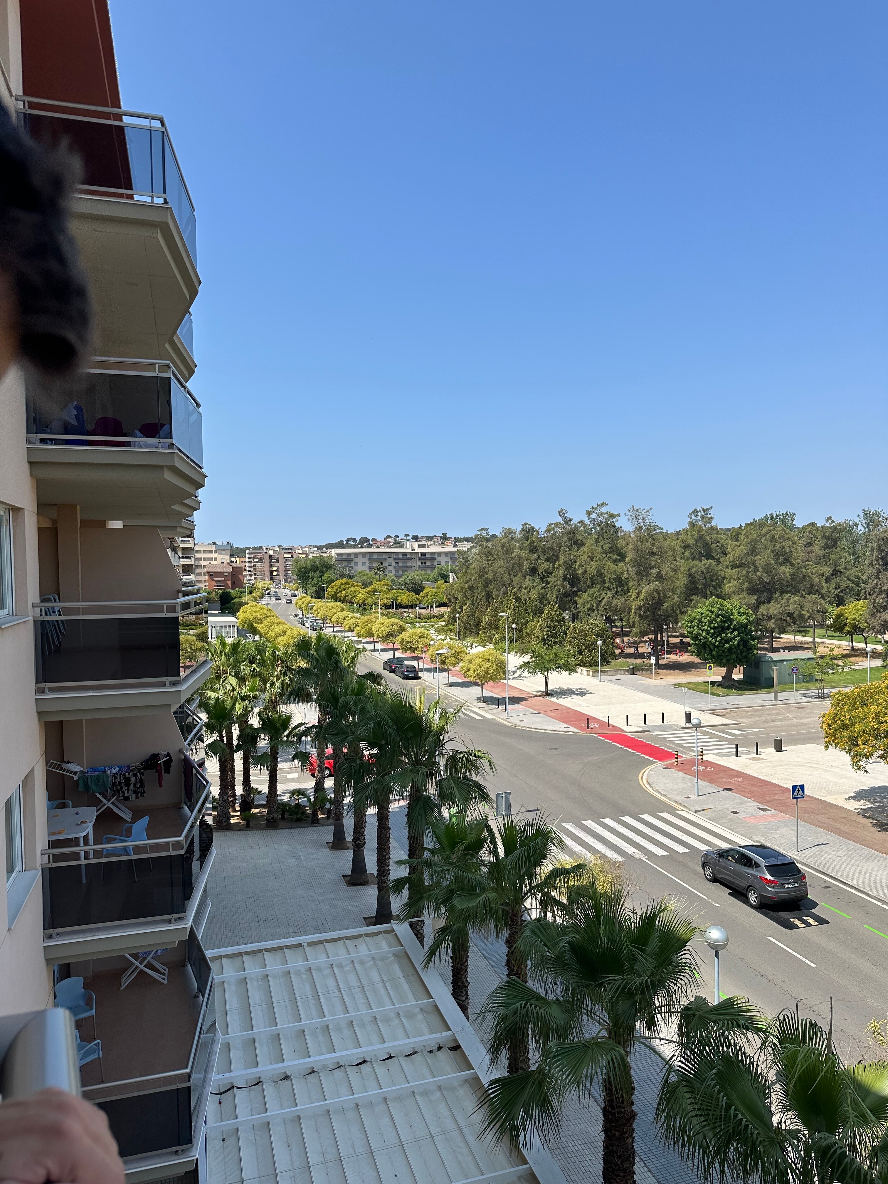 Pineda Park-官方
