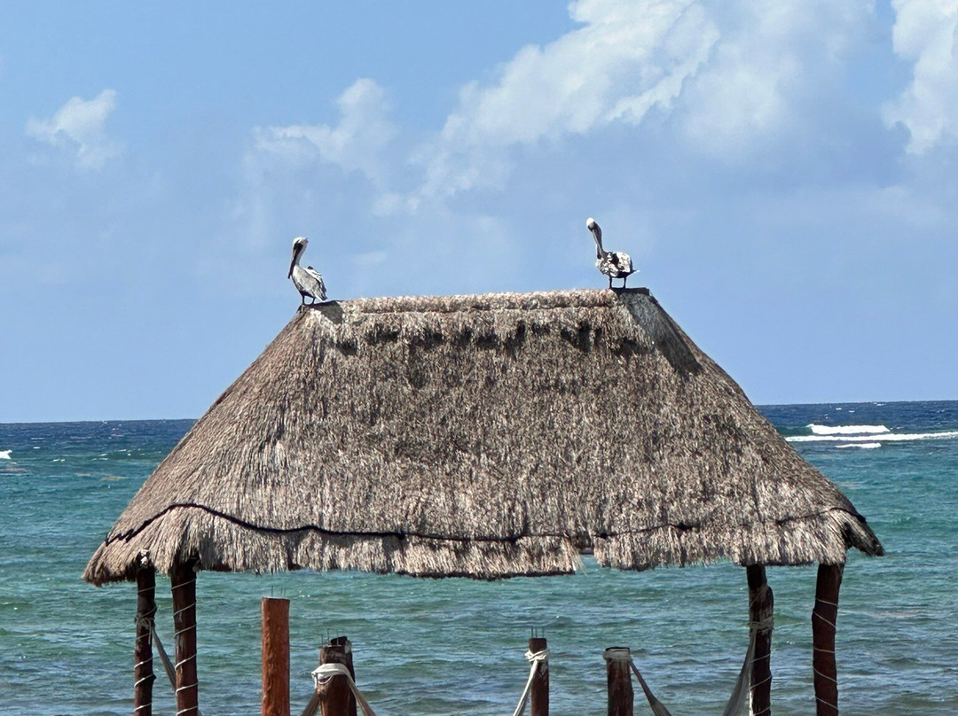 Hotel Cielo Maya Beach Tulum主图