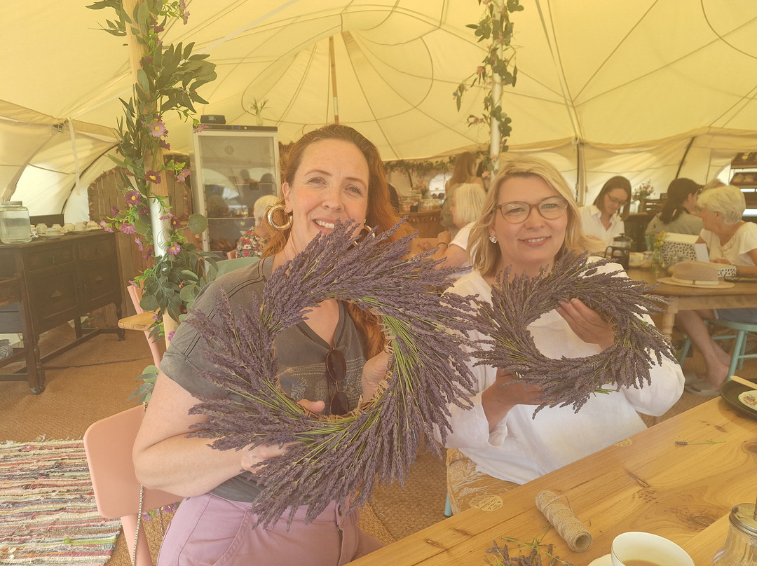 Finchingfield Lavender