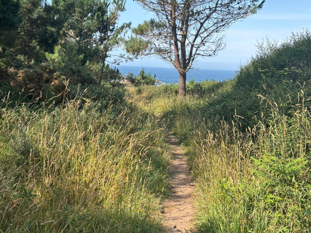 Hotel Duerming San Vicente主图