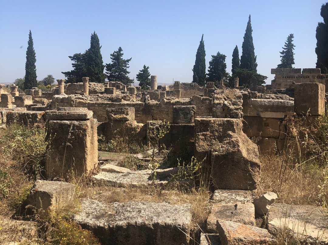 Utica-比塞大必去景点