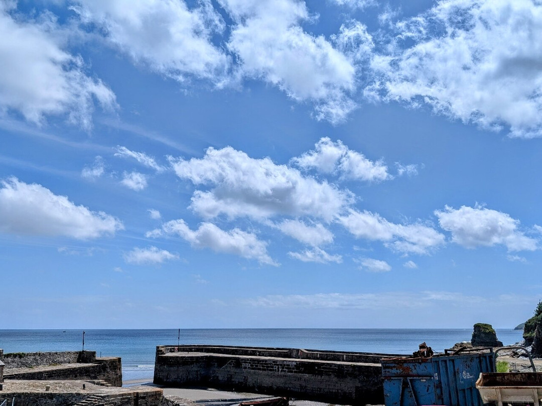 Charlestown Walking Tours-Charlestown必去景点