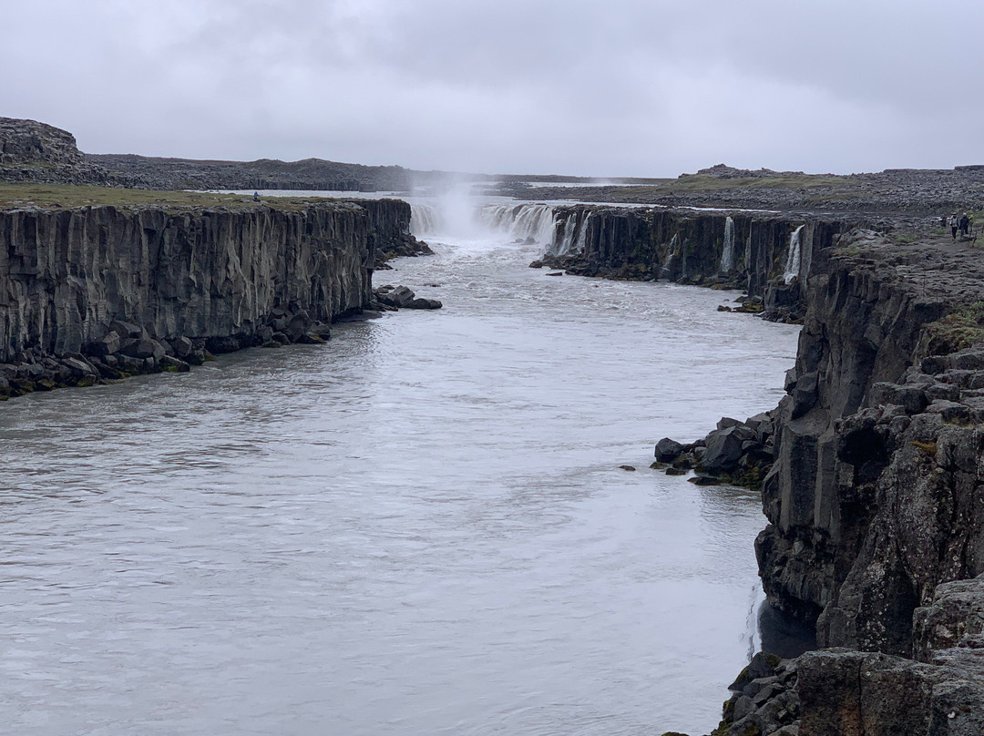 Selfoss Waterfall-Northeast Region必去景点