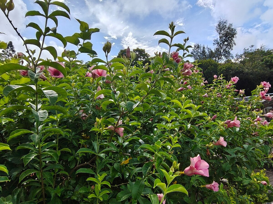 The Bark - An Art Hotel主图