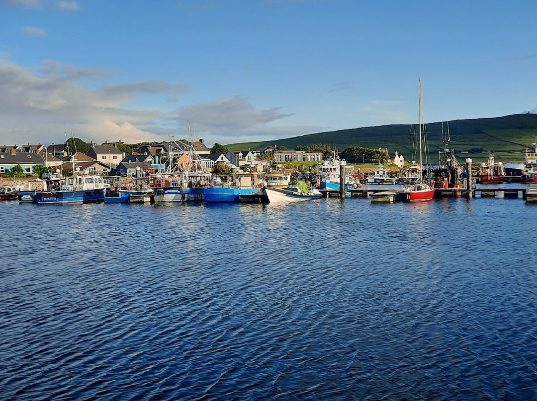 Dingle Marina-丁格尔必去景点