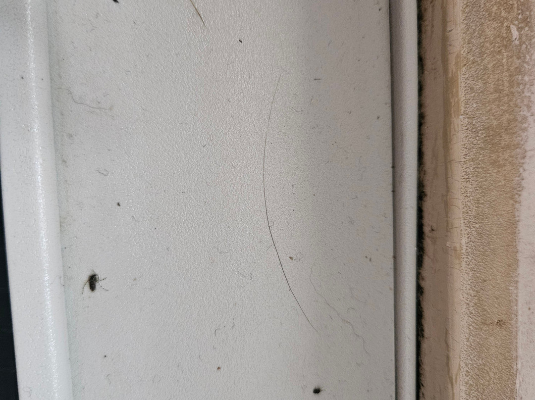 水牛城机场拉金塔旅馆主图