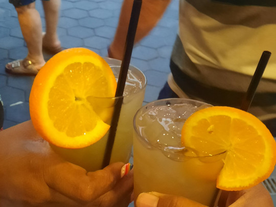 Travo Flight Solutions-多巴哥必去景点