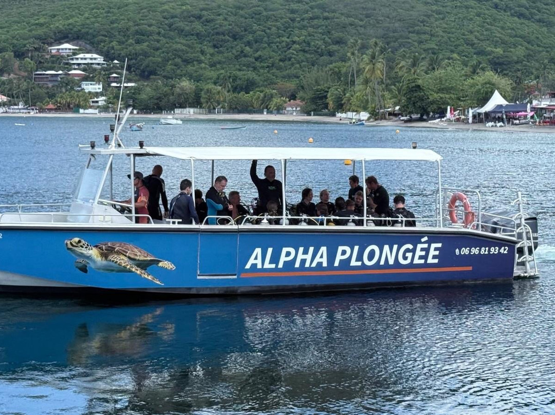 Alpha Plongée Martinique-Les Anses d'Arlet必去景点