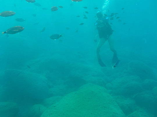 Yellow Submarine-罗德城必去景点