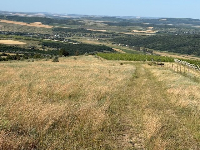 Crama Mircesti-Ungheni必去景点