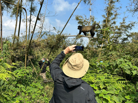 Makario Safaris Ltd.-吉佳利必去景点