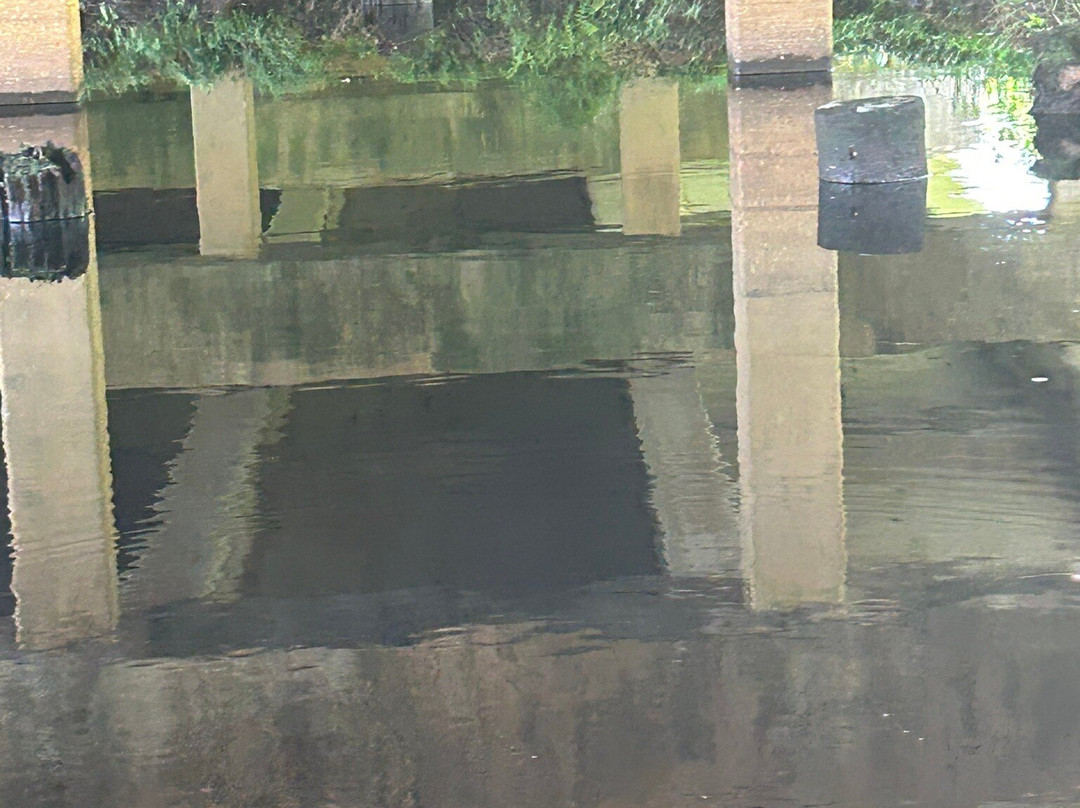 Gulf Coast Gator Ranch & Airboat Swamp Tours-莫斯波因特必去景点