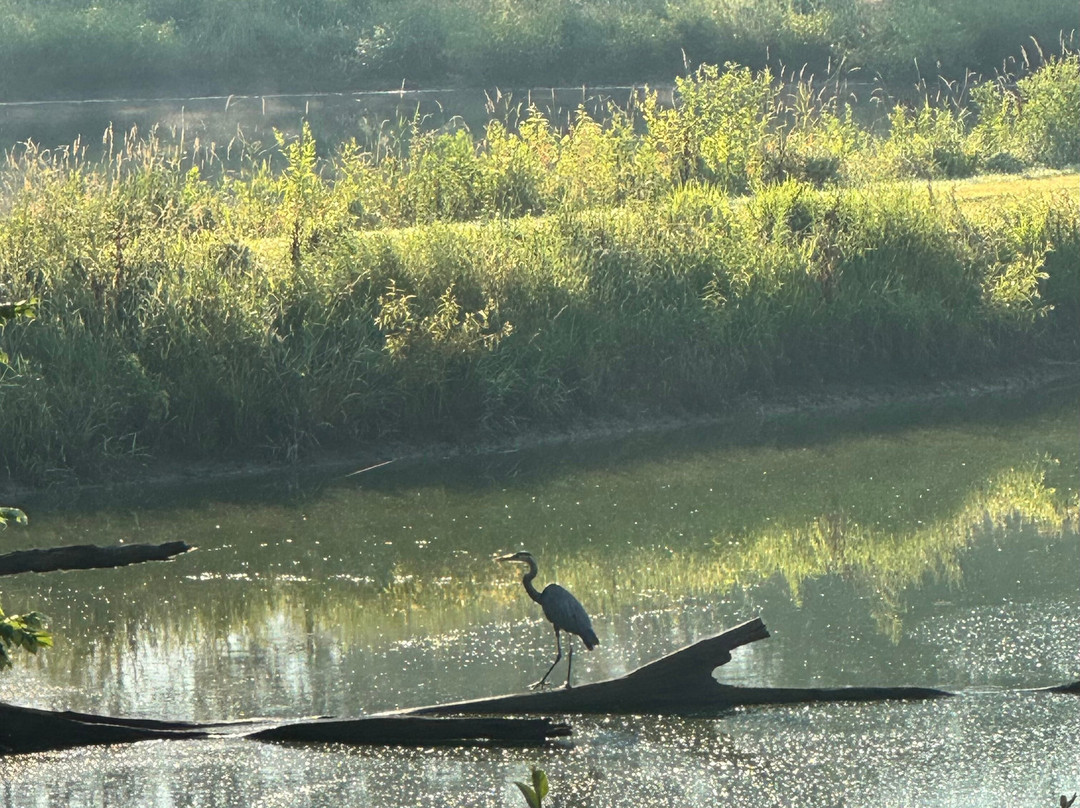 Best Western Plus Parkside Inn & Suites主图