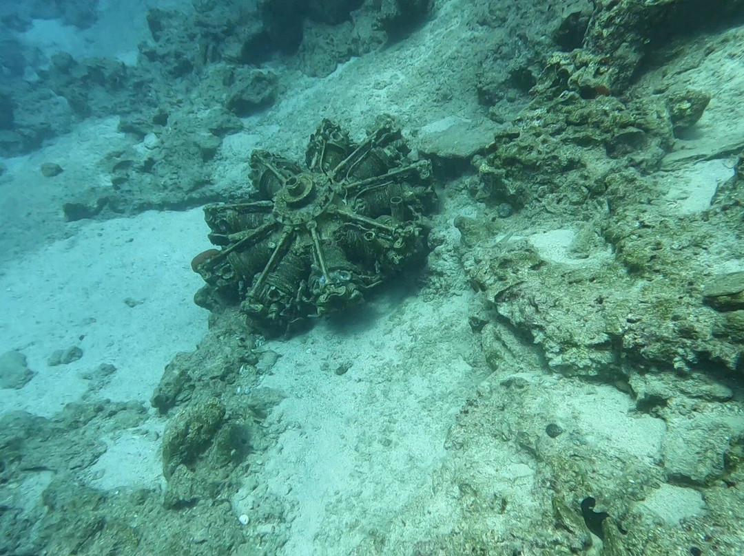Pelagos Dive Centre-Agios Nikolaos必去景点