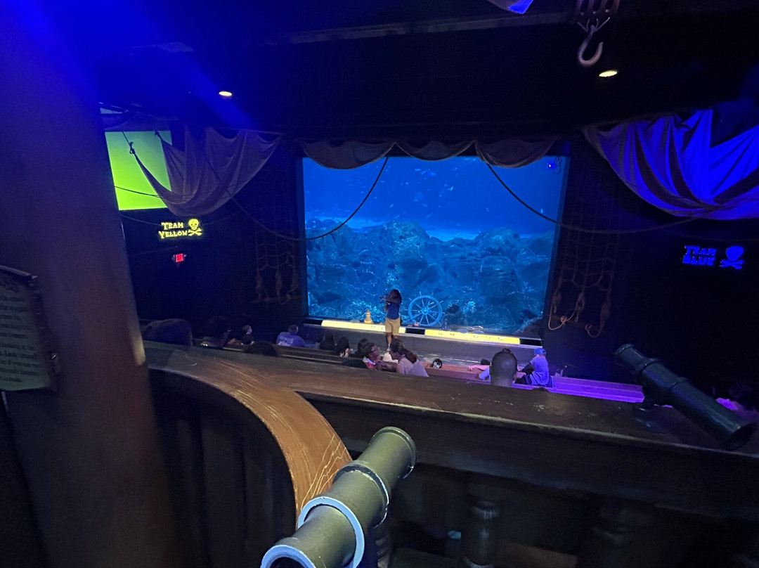 Adventure Aquarium-肯顿必去景点