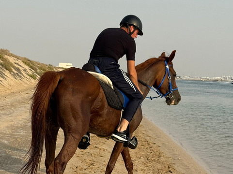 Sanam Stable-阿布扎比必去景点