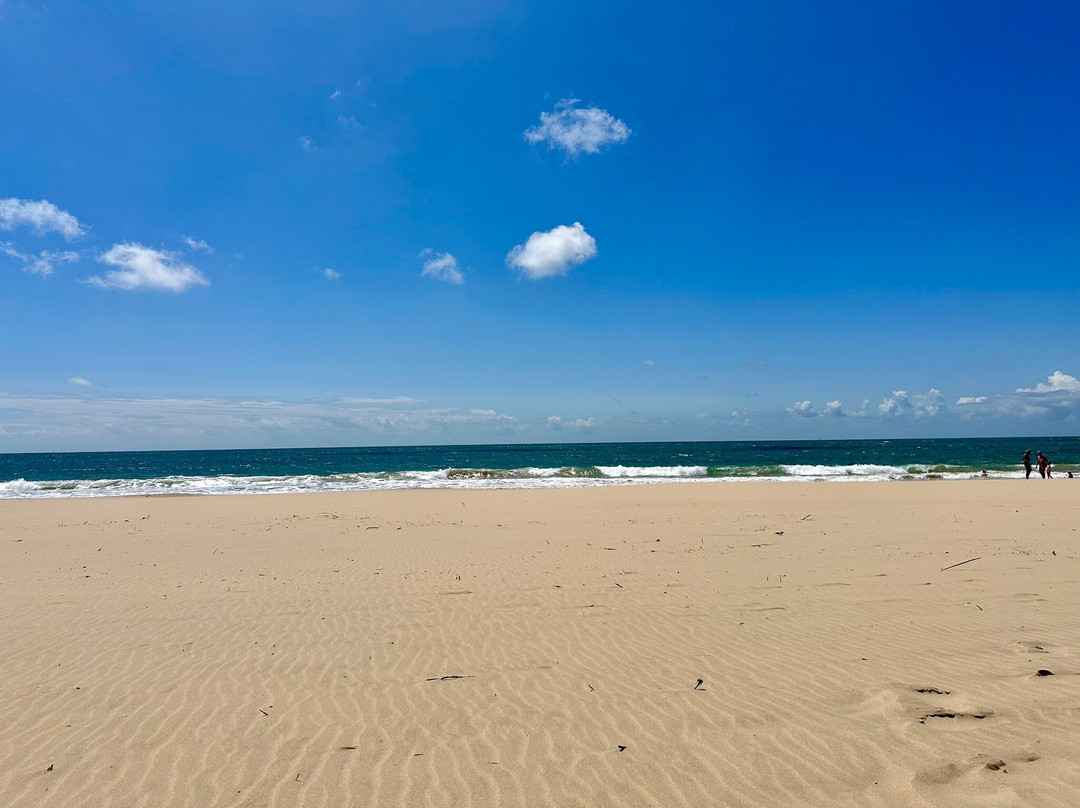Plage de la Lede-La Palmyre-Les Mathes必去景点
