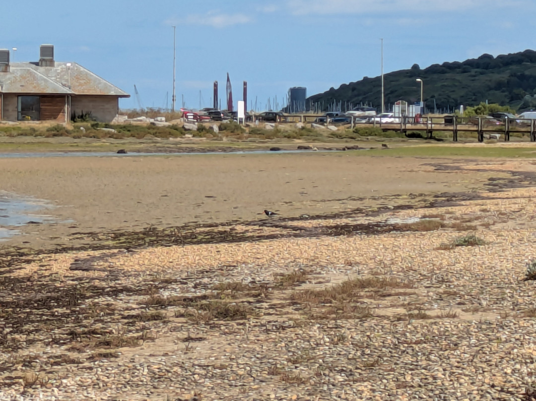 Dorset Wildlife Trust Wild Chesil Centre-Isle of Portland必去景点