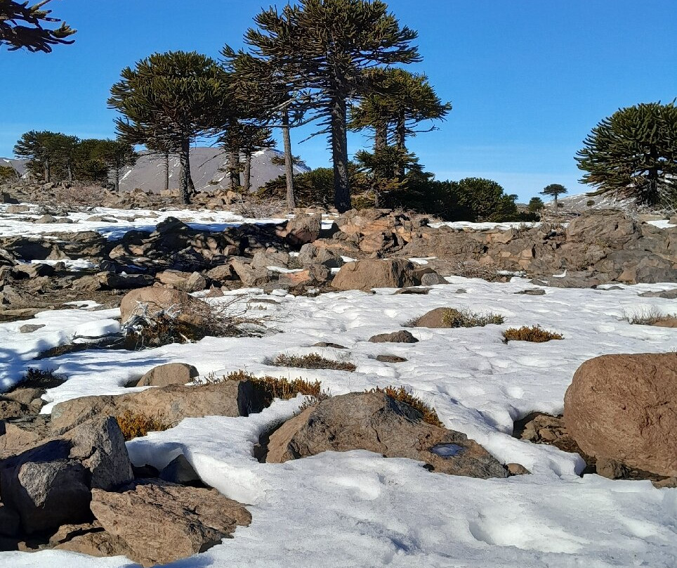 Laguna Escondida-Caviahue必去景点