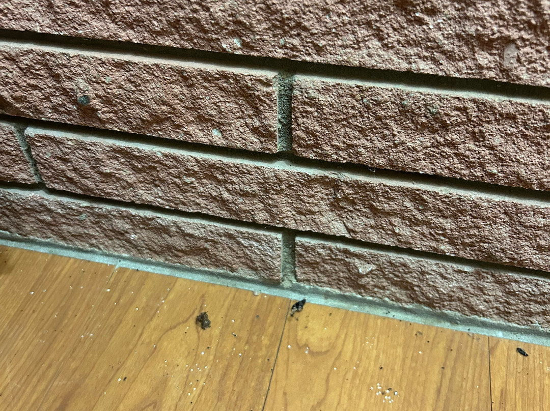 Kentucky Dam Village State Resort Park - Lodging主图