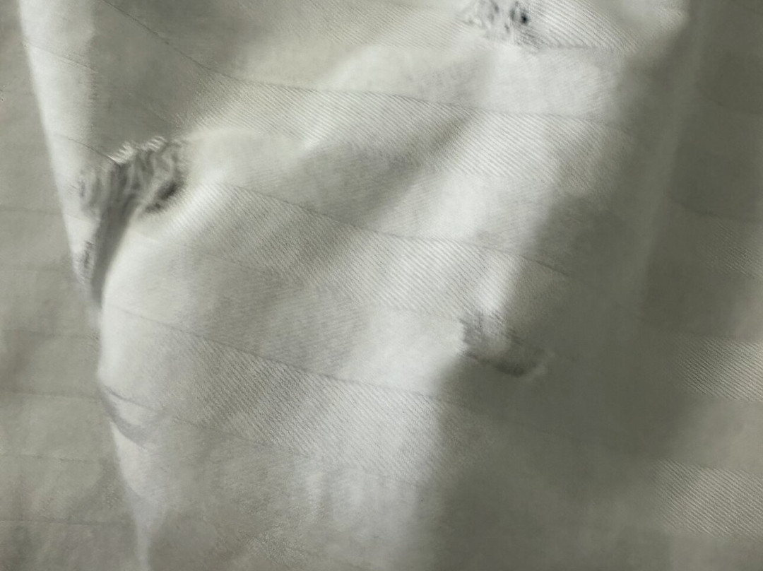 Best Western Seaworld San Antonio主图