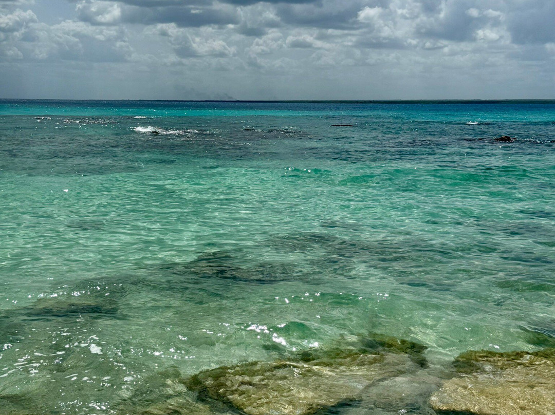 Isla Catalina-拉罗马纳必去景点