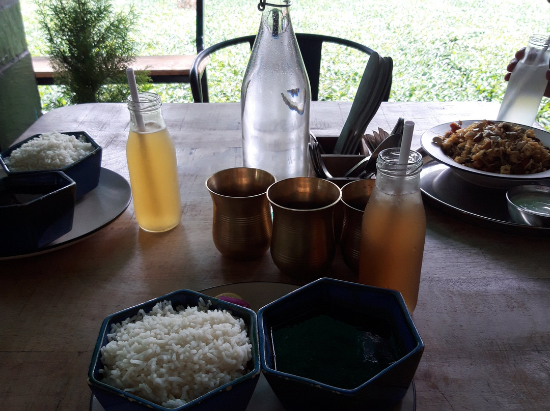 Wah Tea Estate-Palampur必去景点