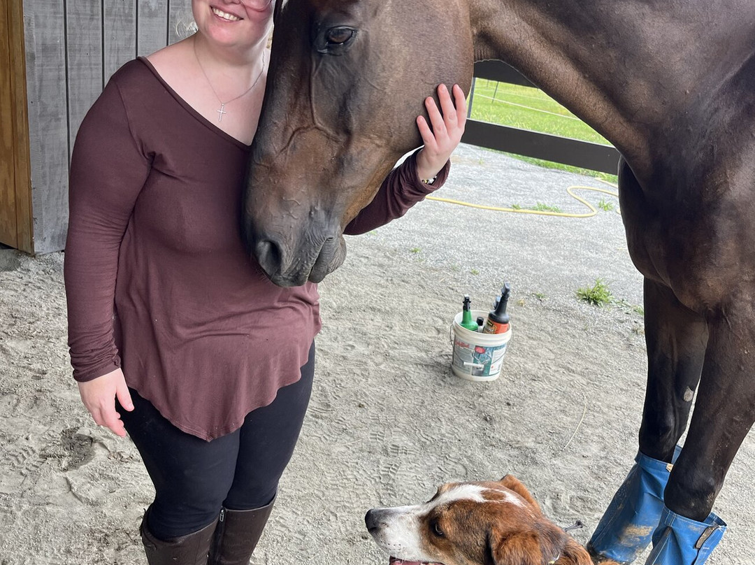 HapBE Valley Equine & Wellness Farm-Leicester必去景点