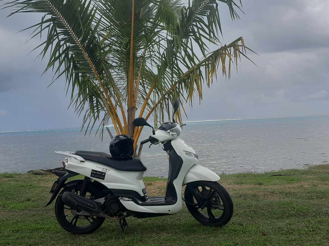 Vaiana Rent A Car-Tiahura必去景点